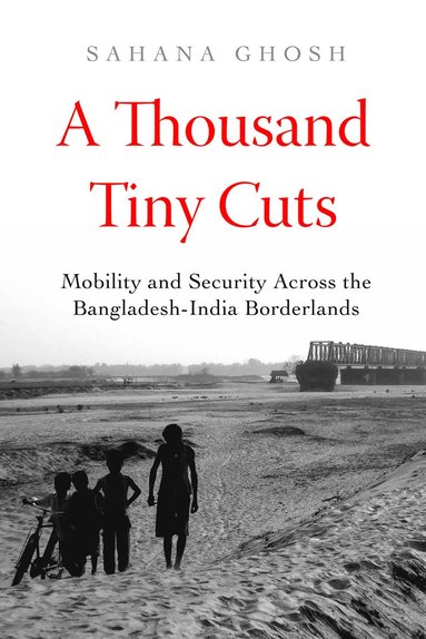 bokomslag Thousand Tiny Cuts