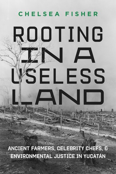 bokomslag Rooting in a Useless Land