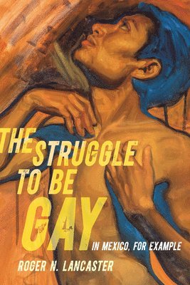 Roger N. Lancaster - Struggle to Be Gay—in Mexico, for Example, Häftad