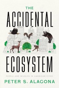 bokomslag The Accidental Ecosystem