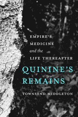 Quinine's Remains 1