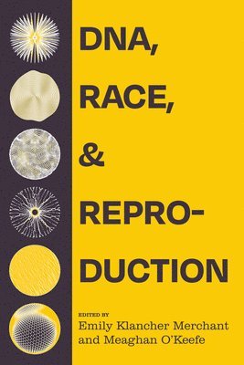 DNA, Race, and Reproduction 1