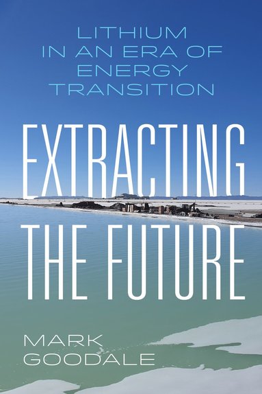 bokomslag Extracting the Future