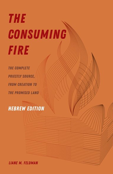 Liane M. Feldman - Consuming Fire, Hebrew Edition, Häftad
