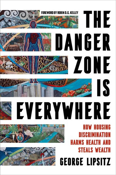 George Lipsitz - Danger Zone Is Everywhere, Inbunden