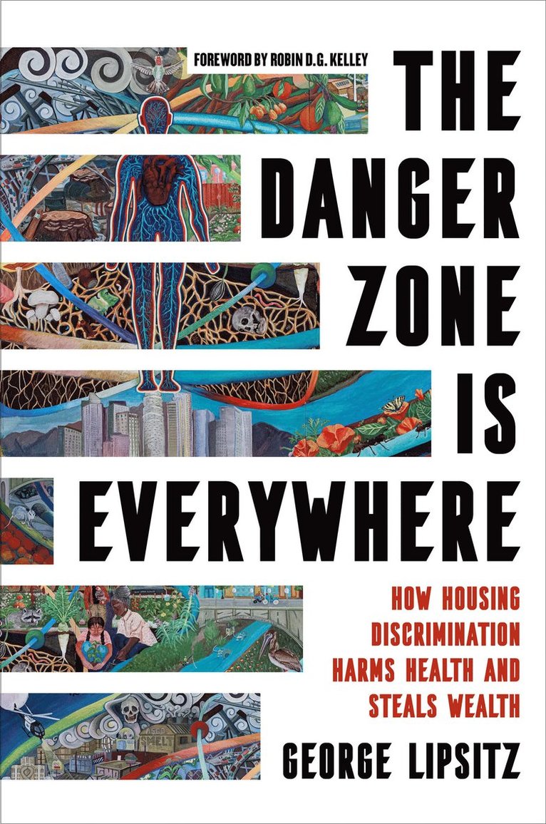 George Lipsitz - Danger Zone Is Everywhere, Häftad