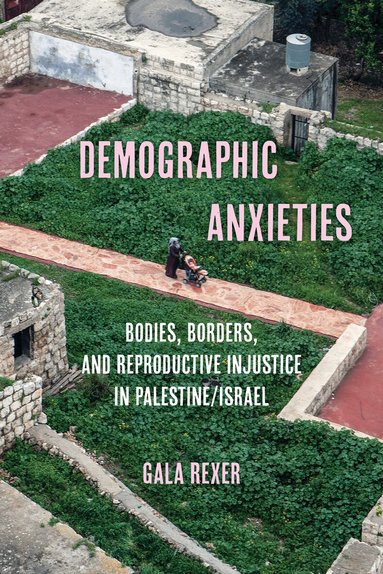 Gala Rexer - Demographic Anxieties, Inbunden