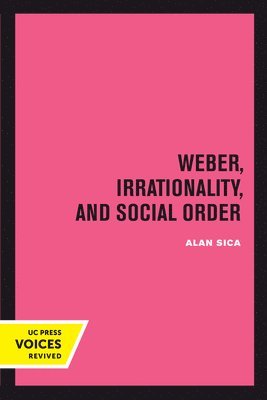 Alan Sica - Weber, Irrationality, and Social Order, Inbunden