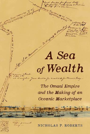 Nicholas P. Roberts - Sea of Wealth, Häftad
