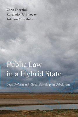 Chris Thornhill, Rustamjon Urinboyev, Tolibjon Mustafoev - Public Law in a Hybrid State, Inbunden