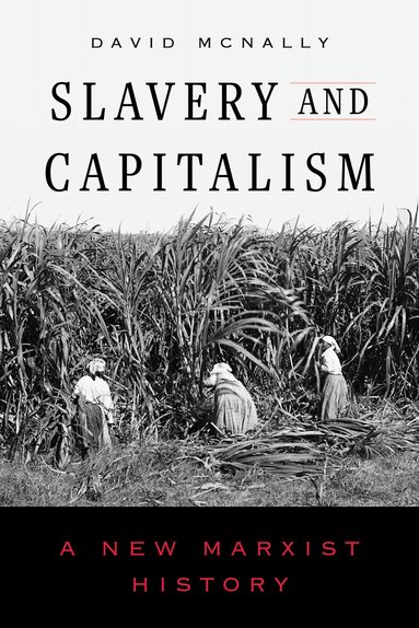 David McNally - Slavery and Capitalism, Häftad