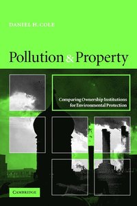 bokomslag Pollution and Property
