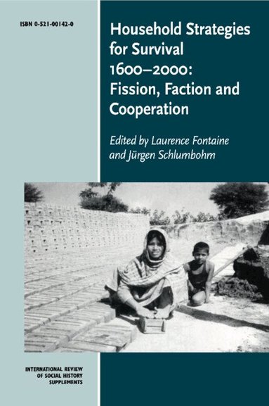 Laurence Fontaine, Jürgen Schlumbohm - Household Strategies for Survival 1600-2000, Häftad