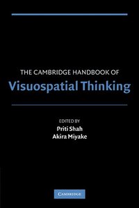 bokomslag The Cambridge Handbook of Visuospatial Thinking