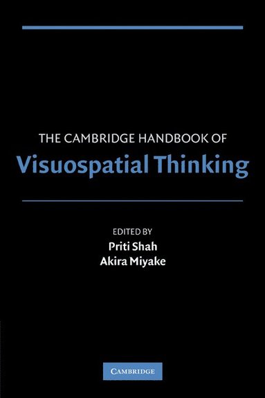 bokomslag The Cambridge Handbook of Visuospatial Thinking