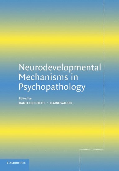 bokomslag Neurodevelopmental Mechanisms in Psychopathology