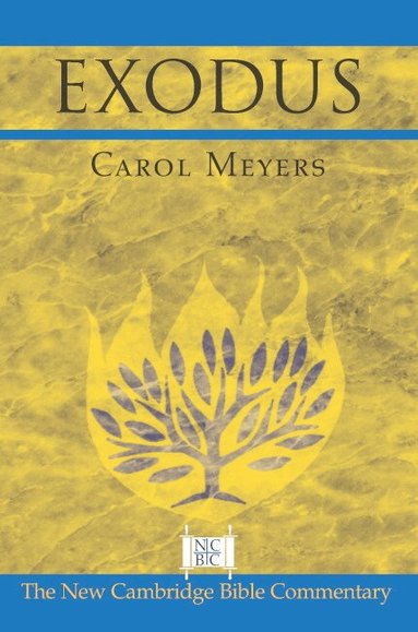 Carol Meyers, III Witherington, Ben, Ben Iii Witherington, Bill T. Arnold - Exodus, Häftad