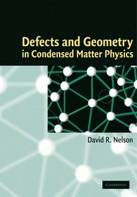 bokomslag Defects and Geometry in Condensed Matter Physics