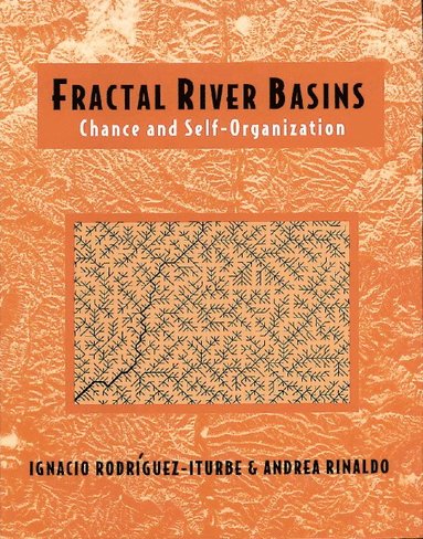 bokomslag Fractal River Basins