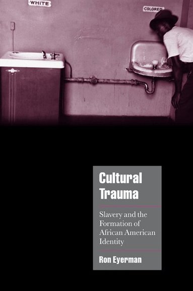 Ron Eyerman, Steven Seidman, Jeffrey C. Alexander - Cultural Trauma, Häftad