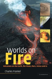 bokomslag Worlds on Fire