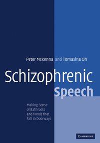 bokomslag Schizophrenic Speech