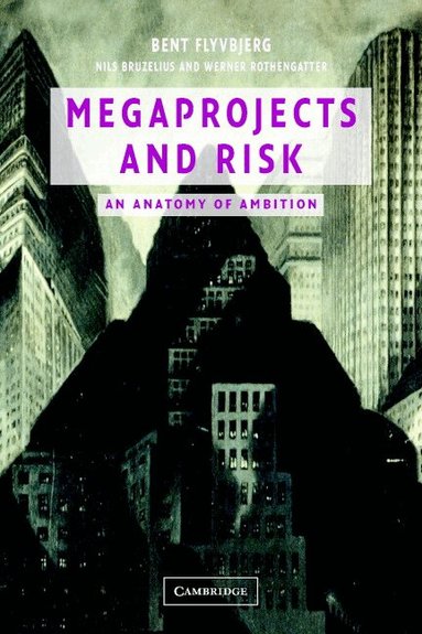 Bent Flyvbjerg, Nils Bruzelius, Werner Rothengatter - Megaprojects and Risk, Häftad