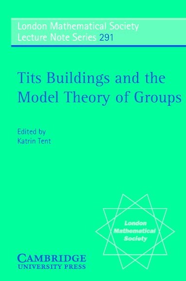 Katrin Tent - Tits Buildings and the Model Theory of Groups, Häftad