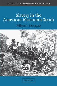 bokomslag Slavery in the American Mountain South