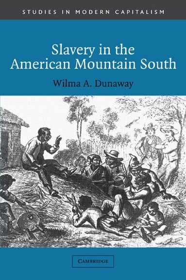 Wilma A. Dunaway, Maurice Aymard, Jacques Revel - Slavery in the American Mountain South, Häftad