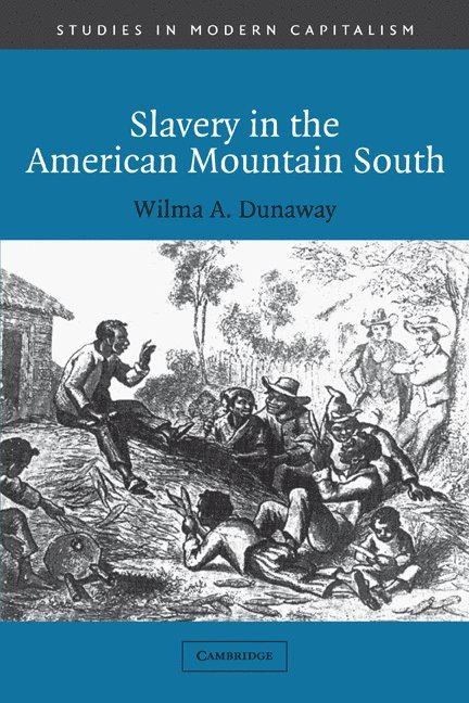 Wilma A. (Virginia Polytechnic Institute and State University) Dunaway, Wilma A. Dunaway, Maurice Aymard, Jacques Revel - Slavery in the American Mountain South, Häftad