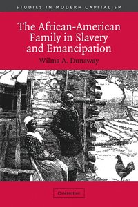 bokomslag The African-American Family in Slavery and Emancipation