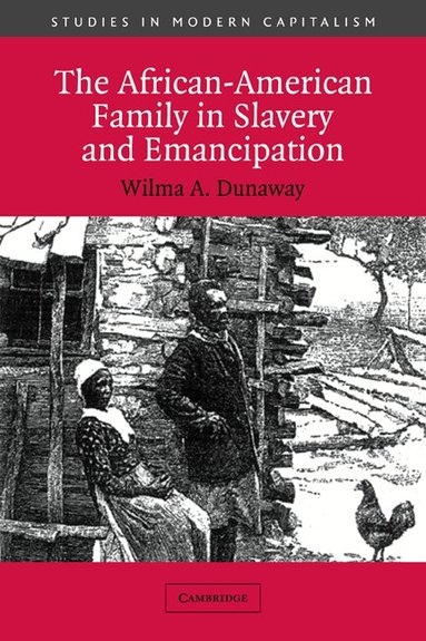 Wilma A. Dunaway, Maurice Aymard - The African-American Family in Slavery and Emancipation, Häftad