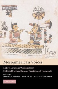 bokomslag Mesoamerican Voices