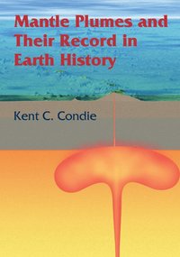 bokomslag Mantle Plumes and their Record in Earth History