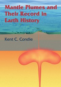 bokomslag Mantle Plumes and their Record in Earth History