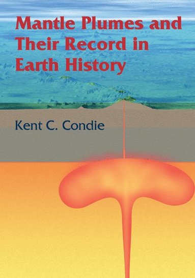 bokomslag Mantle Plumes and their Record in Earth History