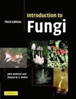 bokomslag Introduction to Fungi