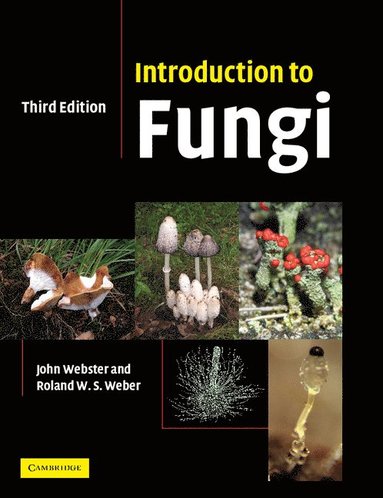bokomslag Introduction to Fungi