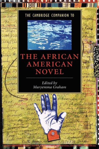 bokomslag The Cambridge Companion to the African American Novel