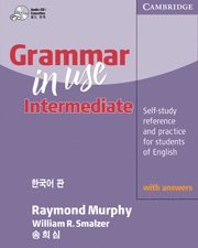 Grammar in Use Korean Edition 1