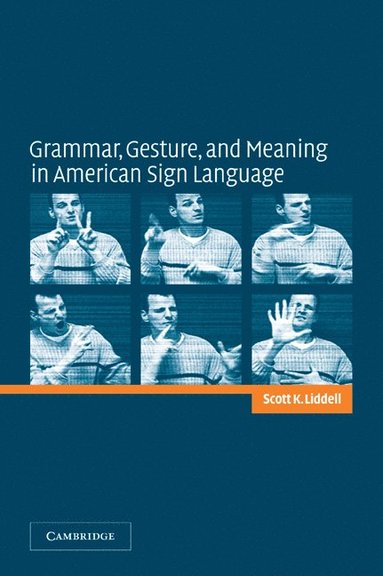 bokomslag Grammar, Gesture, and Meaning in American Sign Language