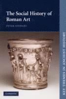 bokomslag The Social History of Roman Art