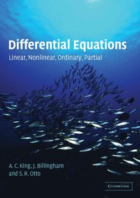 bokomslag Differential Equations