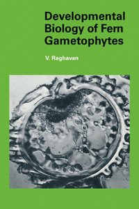 bokomslag Developmental Biology of Fern Gametophytes
