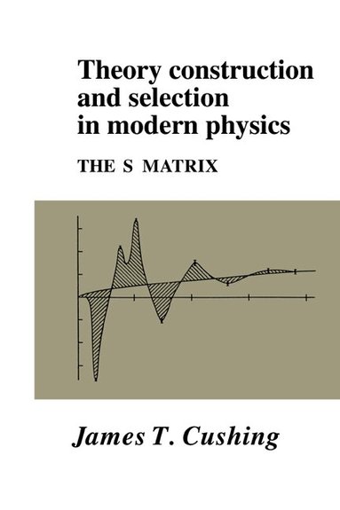 James T. Cushing - Theory Construction and Selection in Modern Physics, Häftad