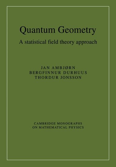 Jan Ambjørn, Bergfinnur Durhuus, Thordur Jonsson - Quantum Geometry, Häftad
