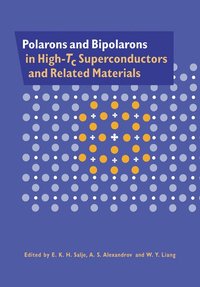 bokomslag Polarons and Bipolarons in High-Tc Superconductors and Related Materials