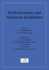 bokomslag Hydrodynamics and Nonlinear Instabilities