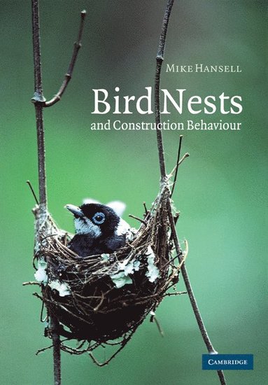 bokomslag Bird Nests and Construction Behaviour